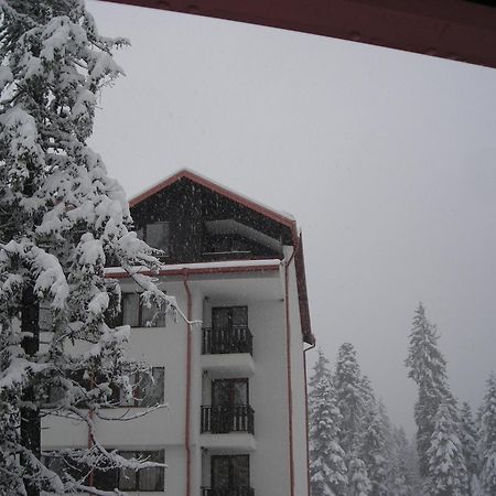 Borovets Gardens Chalet Flat Extérieur photo